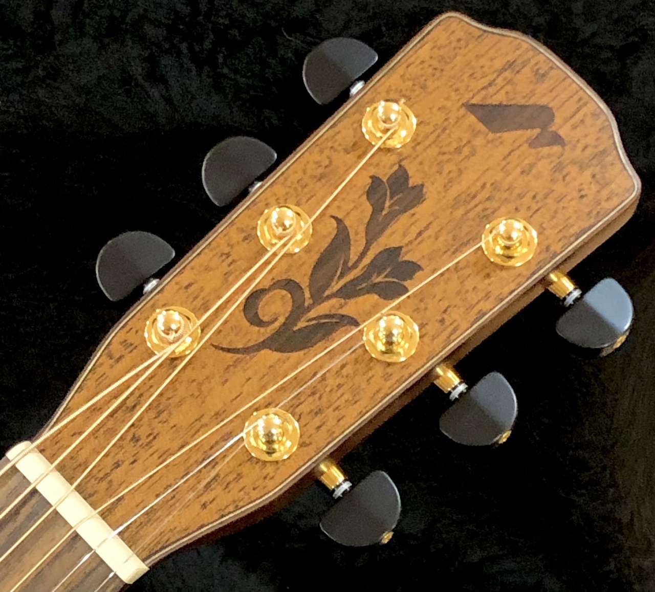 Morris SC-16U 打田十紀夫 Signature Model